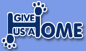 shelter pets in need of a home, with breed guides and links to other animal resources