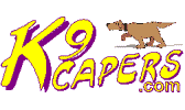 Pet Food Shop - Dog Walking - Behavioural Training - Pet Care